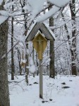 In the woods